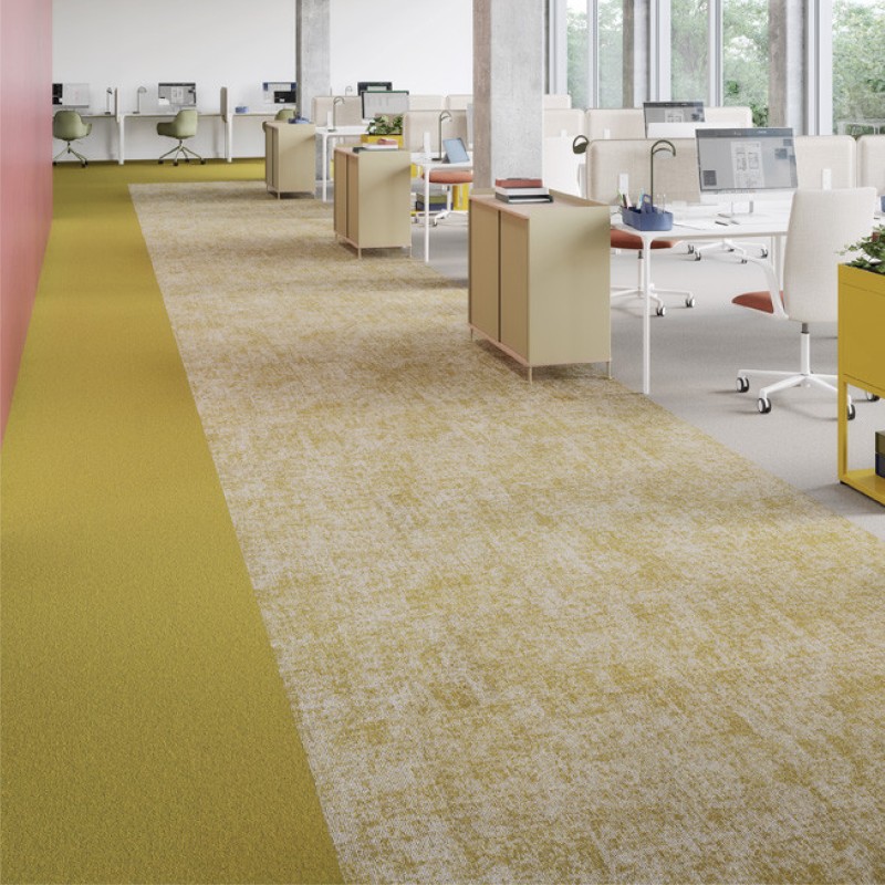 Coleção Essence Roots